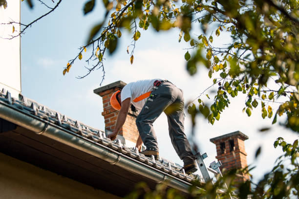 Best Solar Panel Roofing Installation  in Ferguson, MO