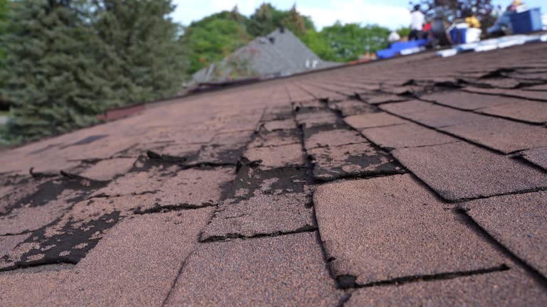 Best Steel Roofing  in Ferguson, MO