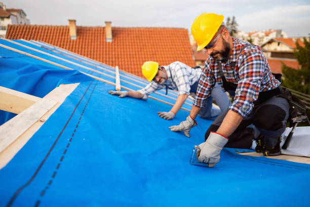 Best Green or Eco-Friendly Roofing Solutions  in Ferguson, MO