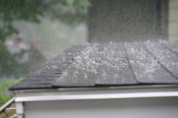 Best Roof Waterproofing  in Ferguson, MO