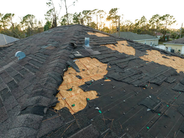 Best Roof Ventilation Installation  in Ferguson, MO
